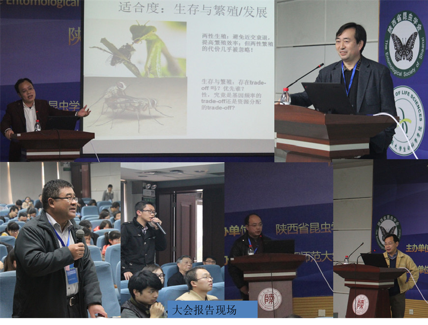 大会报告-副本_副本.jpg 大会报告-副本_副本.jpg