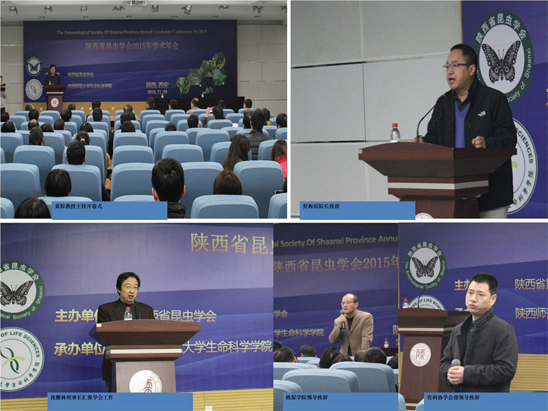 2 开幕式_副本.jpg 2 开幕式_副本.jpg